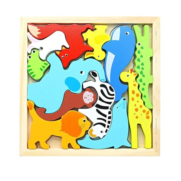1 Piece 3D Wooden Brainteaser Puzzle Tray  (Size 6/6Inch )