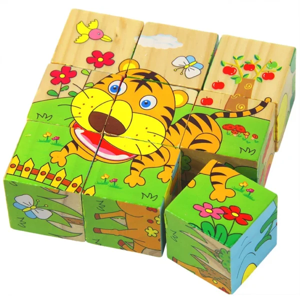3D 6-sided Painting Puzzle Jigsaw Blocks 9pcs