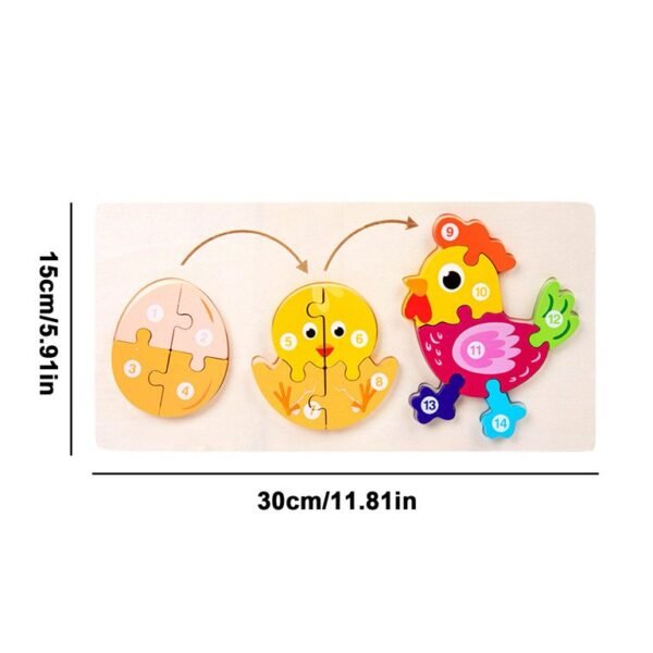 db419651a779677091ff8f3cb66d6fbb 3D Puzzle Toys Life cycle puzzle Size 12Inch