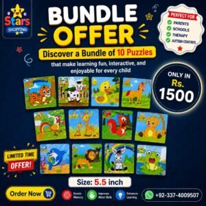 Bundle of 10 jigsaw puzzles (size of puzzle 5.5 inch)