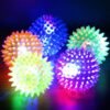 Spiky/Sensory Ball/Massager Ball