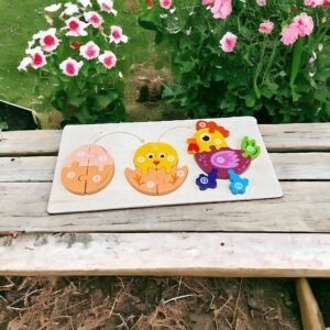 il_fullxfull.5777170964_n578 3D Puzzle Toys Life cycle puzzle Size 12Inch