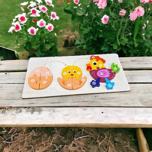 il_fullxfull.5777170964_n578 3D Puzzle Toys Life cycle puzzle Size 12Inch