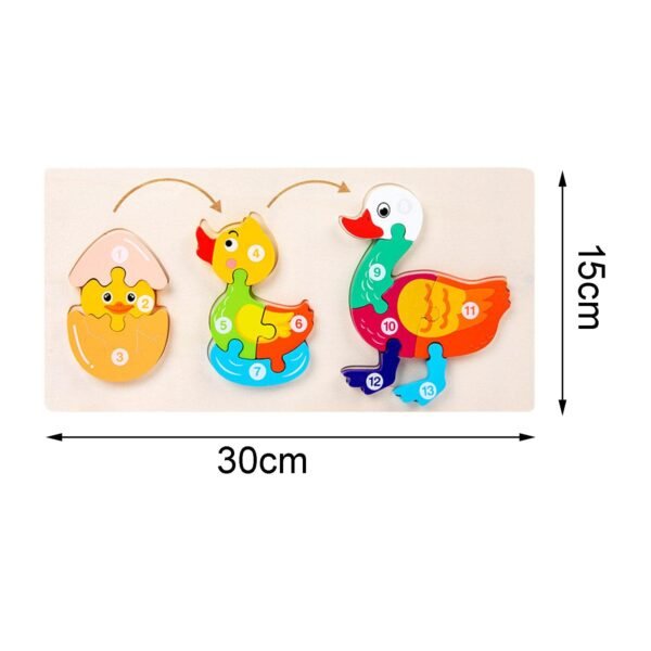 3D Colorful Wooden Life Cycle of Duck Puzzle, Jigsaw Puzzle Toys for Baby & Toddlers